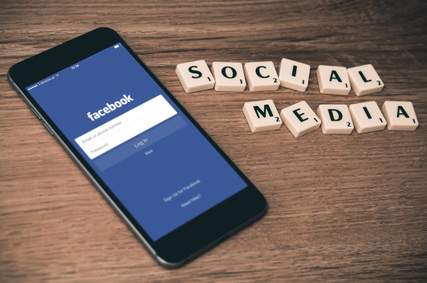 50 % des utilisateurs professionnels utilisent Facebook comme source initiale de publication sur les réseaux sociaux..